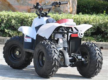 ATV 110cc Auto Hvid, MegaLeg -2