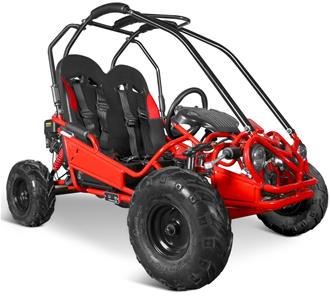 Off-Road  Mini Buggy GT50 5,5HP-2