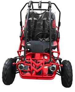 Off-Road  Mini Buggy GT50 5,5HP-3