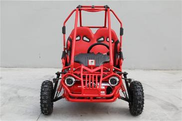 Off-Road  Mini Buggy GT50 5,5HP-4